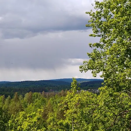 Дом отдыха Glitretind Homestay Андебу