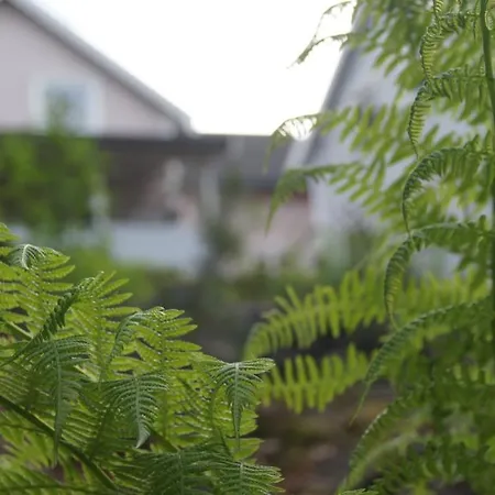 Glitretind Homestay Feriehus *