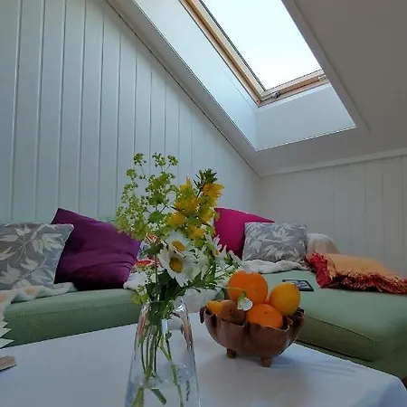 Feriehus Glitretind Homestay