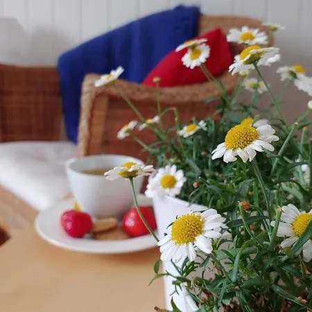 Glitretind Homestay Андебу